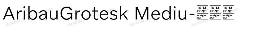 AribauGrotesk Mediu字体转换